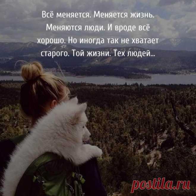 35 потрясающих цитат в картинках, которые стоят внимания - Ёк-макарЁк