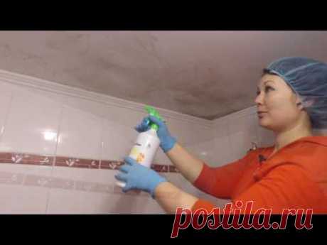 Как избавится от грибка или плесени навсегда