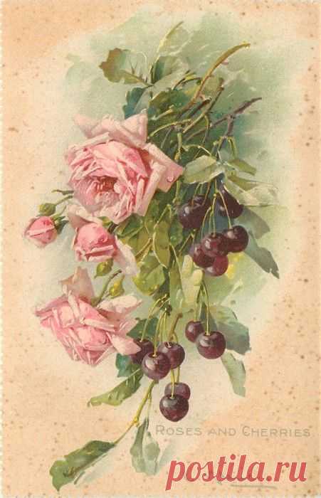 (723) ROSES AND CHERRIES Catharina Klein | pintar