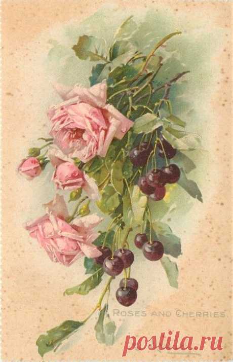 (723) ROSES AND CHERRIES Catharina Klein | pintar