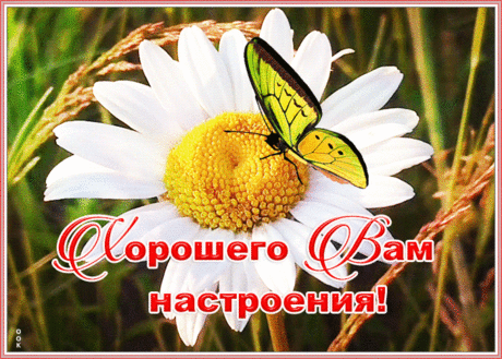 Открытка прекрасного солнечного настроения