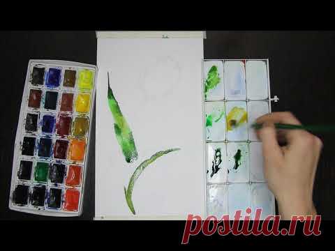 КАК НАРИСОВАТЬ ТЮЛЬПАН. РИСУНКИ ДОМА АКВАРЕЛЬЮ  HOW TO DRAW A ROSE