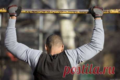 Подтягивания / Абсолютное здоровье