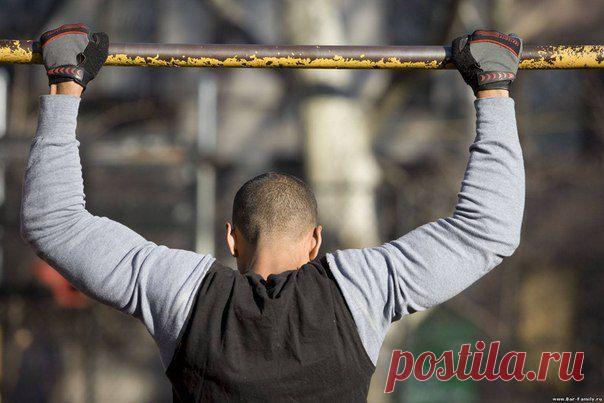 Подтягивания / Абсолютное здоровье