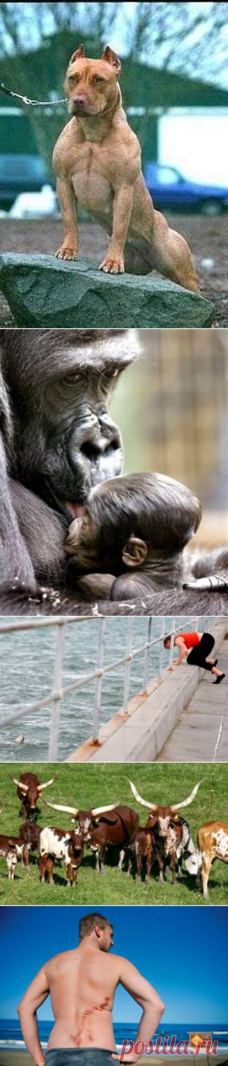 ПРИРОДА НЕ МАЧЕХА. | ВЗГЛЯНИ НА МИР С ИНТЕРЕСОМ