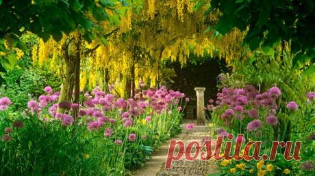 12 садовых дорожек для разных стилей ландшафта / 7dach.ru