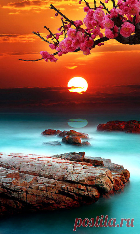 Joie De Vivre! Joy Of Pictures... Joy Of Earth