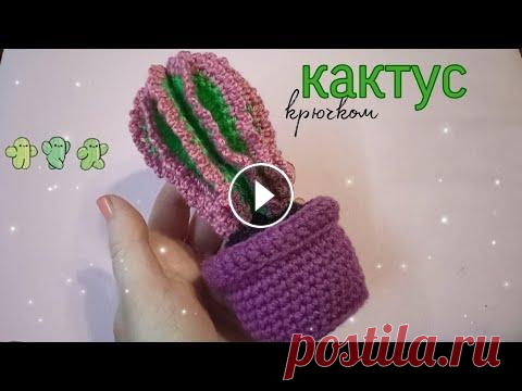 Вяжем кактус крючком // Мастер-класс Меня зовут Елена. Я мама взрослого сына и замечательный доченьки. Живу я северном городе с красивым название Архангельск. Очень люблю вязать. Всё своб...