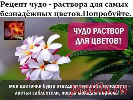(95) Одноклассники
