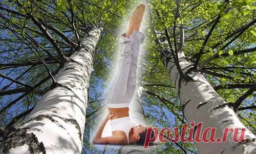 Берёзка, свеча, Сарвангасана - мощное омоложения организма