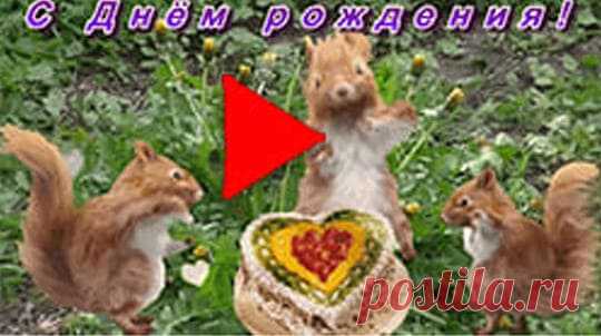 🟢Скачать видео открытку с Днем рождения бесплатно - КакЧтоГде