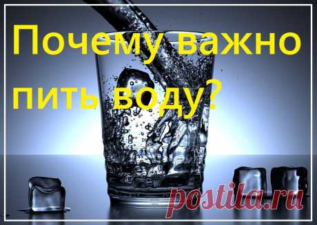Почему важно пить воду?

Человеческий организм больше чем на 70 процентов состоит из воды, поэтому если организм теряет воду, то он теряет и жизнеспособность. Старайтесь не ограничивать себя в употреблении чистой питьевой воды.