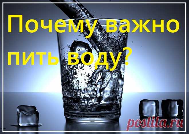 Почему важно пить воду?

Человеческий организм больше чем на 70 процентов состоит из воды, поэтому если организм теряет воду, то он теряет и жизнеспособность. Старайтесь не ограничивать себя в употреблении чистой питьевой воды.