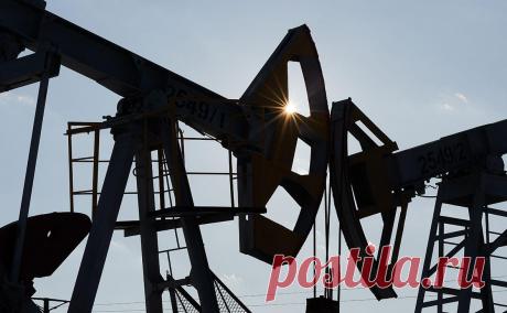 США впервые с апреля 2022 года импортировали российскую нефть. В ноябре США импортировали почти 10 тыс. барр. нефти российского происхождения на $749,5 тыс. Запрет на ввоз энергоносителей из России ввели в марте 2022 года, но Минфин выпустил несколько лицензий, которые делают импорт возможным