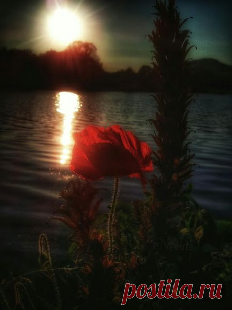 Google+