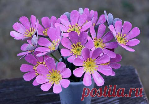 Поделки из упаковок от яиц