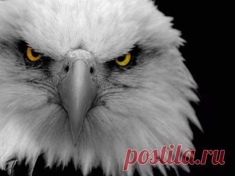 Притча про тех кто сидит и отдыхает: | МАЛЕНЬКАЯ СТРАНА МС