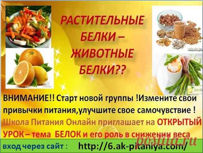 До Нового Года осталось три месяца и Вы ещё успеете превратиться в Золушку, сможете сбалансировать своё питание и получив фигуру своей мечты! Поразите своих мужчин новым сексуальным образом в шикарном платьем и пусть зависливые подружки охнут от восторга! Сегодня,в 15.00 по мск открытое занятие в Академии Питания! Вход по ссылке: http://6.ak-pitaniya.com/