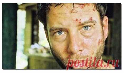 Они выжили. 10 историй о героическом выживании.