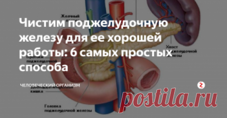 Чистим поджелудочную
