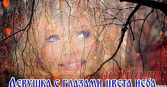 Александр Баловацкий
