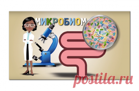 4 рецепта молодости кишечника и здоровья старости | Доброго здоровья! | Яндекс Дзен