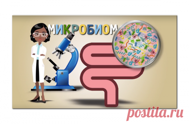 4 рецепта молодости кишечника и здоровья старости | Доброго здоровья! | Яндекс Дзен