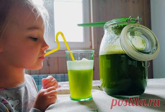 Вовсе не нужны лимоны для лимонада! Рассказываю, как мы делаем его из неприметной лесной травки | Дом с Котом | Яндекс Дзен