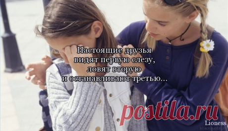 Настоящие друзья видят первую слезу, ловят вторую и останавливают третью...