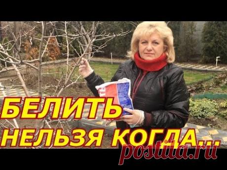 БЕЛИТЬ НЕЛЬЗЯ !!! КОГДА ?..