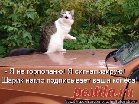 Ябеда...