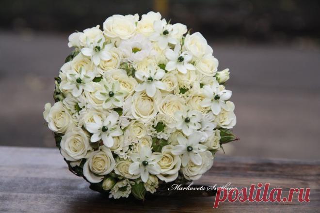 Друзья! Базовый курс обучения по флористике начнётся в нашей школе 15 и 17 октября. Приглашаем всех студентов, прошедших краткий подготовительный курс