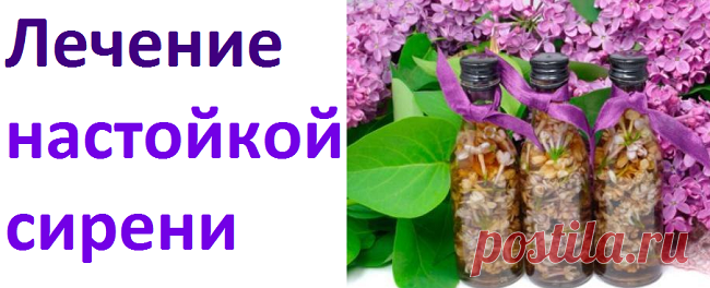 Лечение настойкой сирени | Советы целительницы