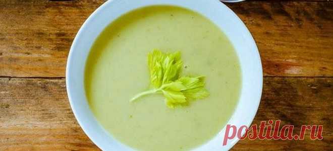 Суп из стеблевого сельдерея — самые вкусные рецепты полезного блюда | OMJ