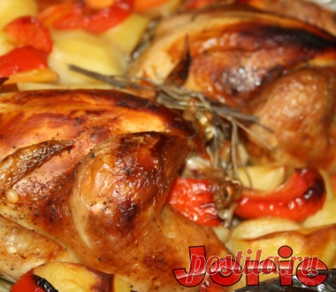 Запеченные цыплята корнишоны с овощами рецепт с фото