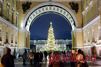 Главная елка Петербурга прибыла на Дворцовую площадь