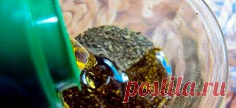 Смешайте зеленый чай с оливковым маслом и уже через 20 минут удивитесь результату! - Образованная Сова