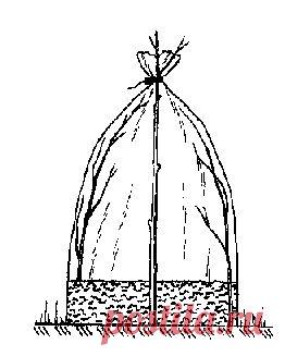 Сделаем парник быстро и просто..