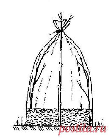 Сделаем парник быстро и просто..