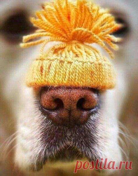 Осень на носу Доброе утро