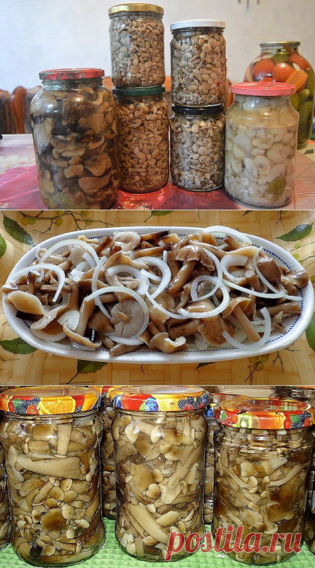 ОПЯТА МАРИНОВАННЫЕ !!!  **