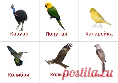 ♥ РАННЕЕ РАЗВИТИЕ ДЕТЕЙ ♥ делаем детство ярче ♥