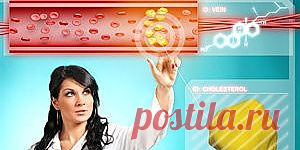 Как понизить холестерин в крови? | Первая помощь