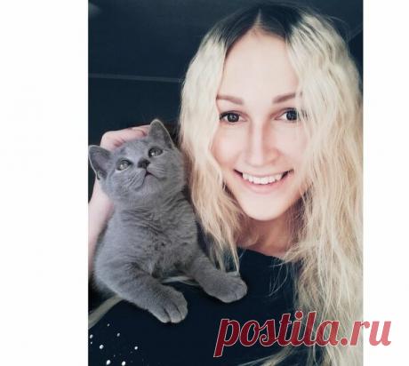 Мой Шотландский Скоттиш Страйт | Глаза души | Яндекс Дзен