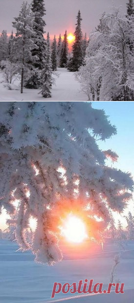 (27) Одноклассники