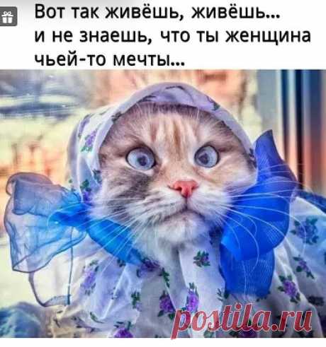 МИР ЖЕНЩИНЫ-МОДА,СТИЛЬ,КРАСОТА,РУКОДЕЛИЕ,ЮМОР