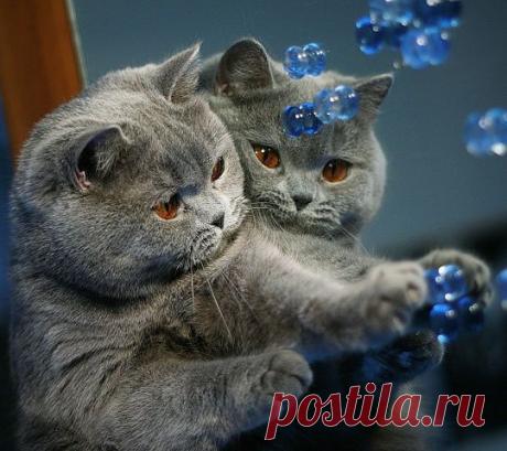 Красивые стихи…
Тамара Пашетных