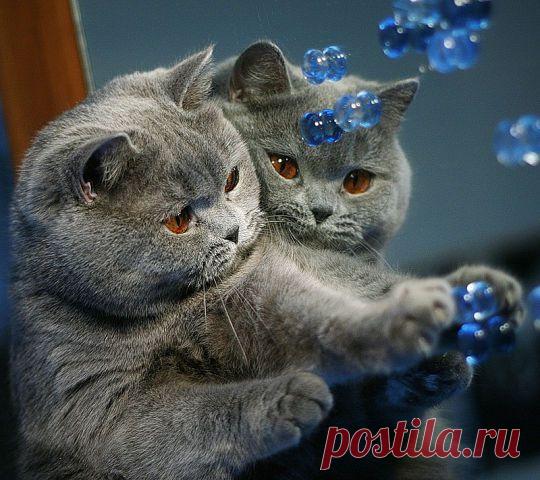 Красивые стихи…
Тамара Пашетных