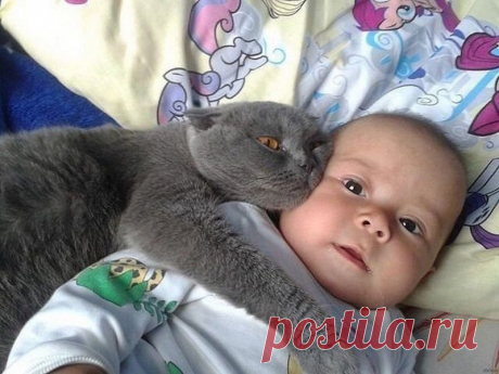 Милота без границ: 20 фотографий детишек и питомцев, на которые невозможно смотреть без улыбки Когда видишь на фото детей вместе с питомцами, то настроение поднимается само собой.