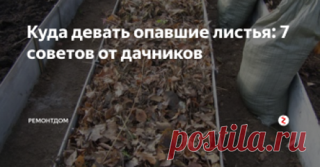 Куда девать опавшие листья: 7 советов от дачников Некоторые не знают, куда девать опавшие листья на дачном участке. Опавшие листья – это ценный материал, который дарует нам сама природа. Листья помогают повышать плодородие и качество структуры почвы.